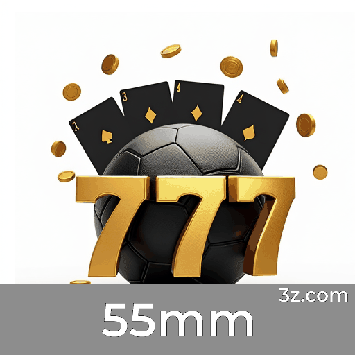 55mm: Plataforma de Jogo com Segurança e Serviço Profissional