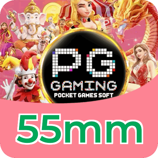 Métodos de pagamento aceitos na 55mm