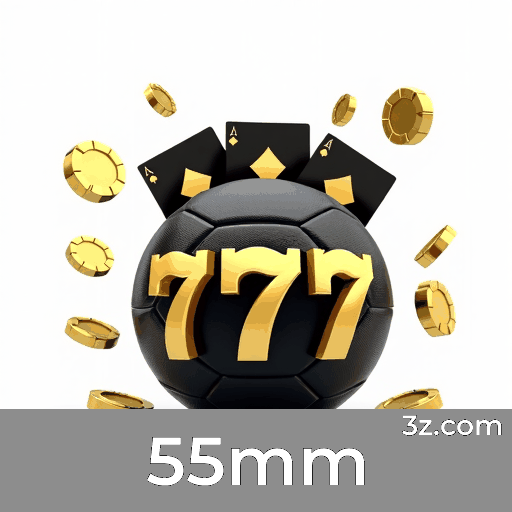 55mm: Plataforma de Jogo com Segurança e Serviço Profissional