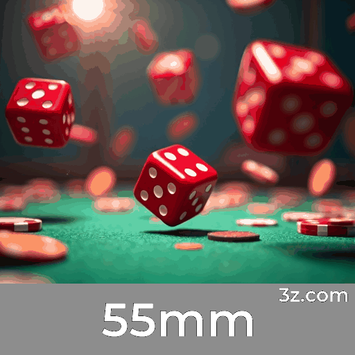 55mm: Plataforma de Jogo com Segurança e Serviço Profissional